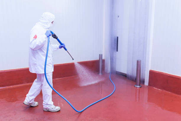 Best Sidewalk and Walkway Cleaning  in Landmk, AR