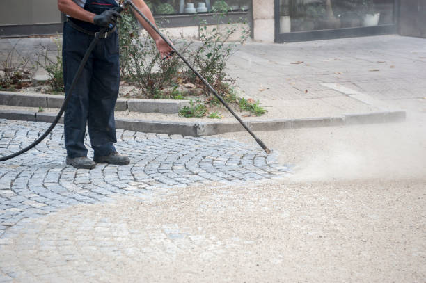 Best Fence Cleaning  in Landmk, AR